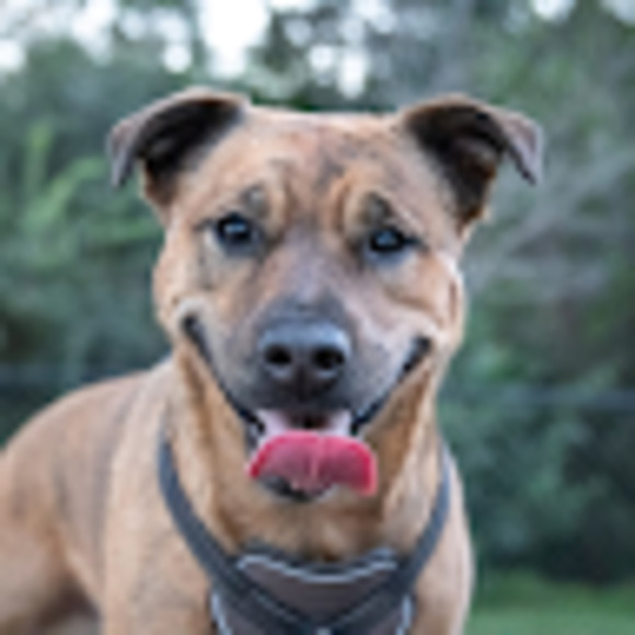 Meet your Posher, Steven - Picture 1 of 1